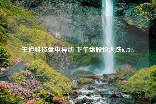 王道科技盘中异动 下午盘股价大跌6.73%