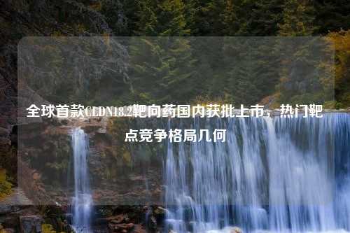 全球首款CLDN18.2靶向药国内获批上市，热门靶点竞争格局几何