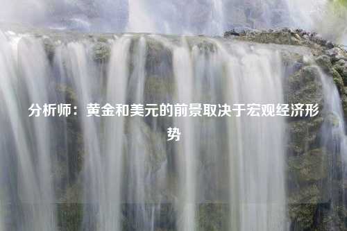 分析师：黄金和美元的前景取决于宏观经济形势