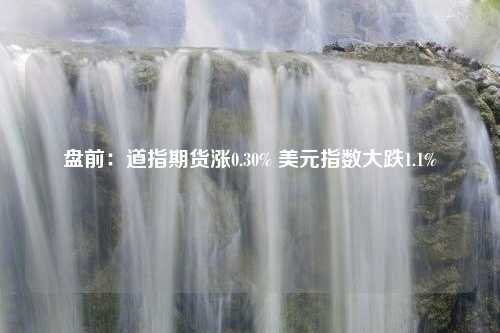 盘前：道指期货涨0.30% 美元指数大跌1.1%