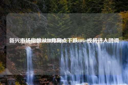 新兴市场指数从10月高点下跌10% 或将进入回调