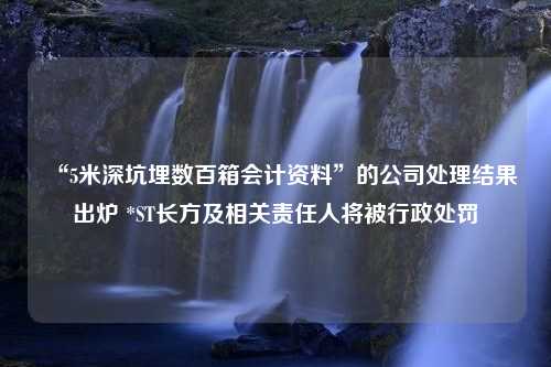 “5米深坑埋数百箱会计资料”的公司处理结果出炉 *ST长方及相关责任人将被行政处罚