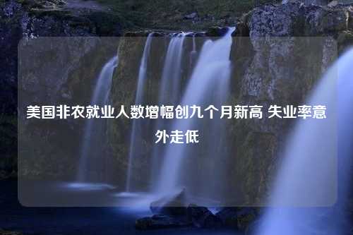 美国非农就业人数增幅创九个月新高 失业率意外走低