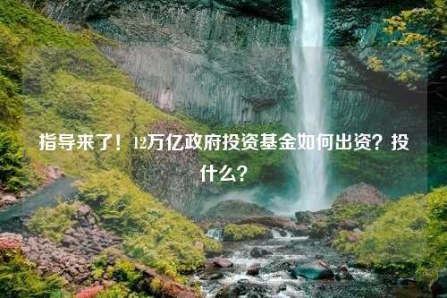 指导来了！12万亿政府投资基金如何出资？投什么？