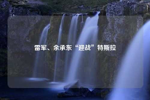 雷军、余承东“迎战”特斯拉